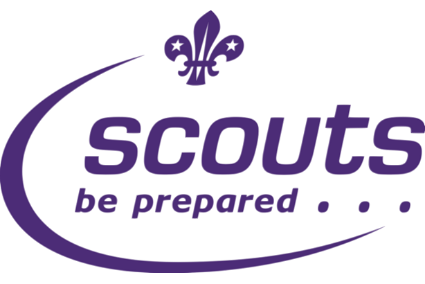 Image result for scouts logo